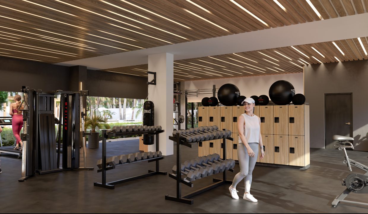 Gym v-3